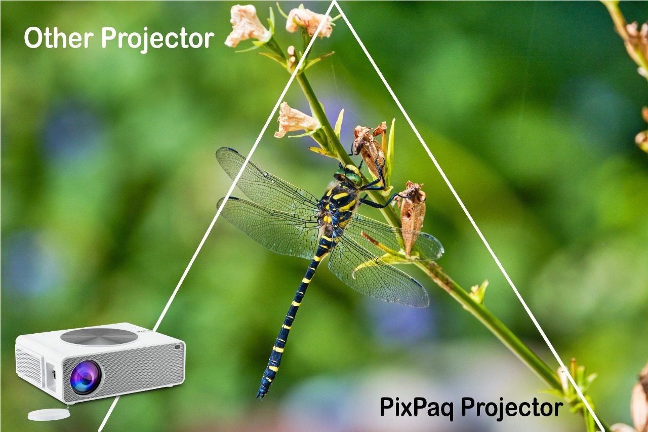 8360a3e3-ed85-4515-bec2-c3201b8aefe2